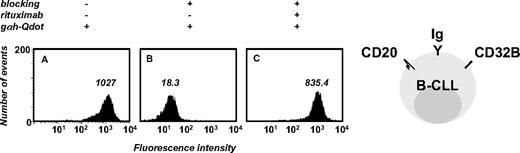 Figure 1. Development of a sensitive flow cytometry assay to detect the binding of human antibodies to primary B-CLL cells. PBMCs (5 × 105, consisting of > 85% B-CLL cells) from a patient with untreated B-CLL were first incubated with normal goat serum to block Fcγ receptors (CD32B) followed by unconjugated goat Fab anti–human IgG pAbs to block cell-surface Ig (blocking). In the pilot experiment shown here, chimeric mouse/human anti–human CD20 mAb rituximab was the primary antibody that served as positive control for serum antibodies with human constant domains and cell-surface reactivity. Goat F(ab′)2 anti–human IgG pAbs conjugated to Qdot 655 nanocrystals (gαh-Qdot) were used as secondary antibodies. Substantial reactivity noted for the secondary antibody alone (A) was eliminated through cell-surface blocking (B), permitting detection of the primary antibody reactivity (C). The numbers inside each panel depict median fluorescence intensity (MFI).