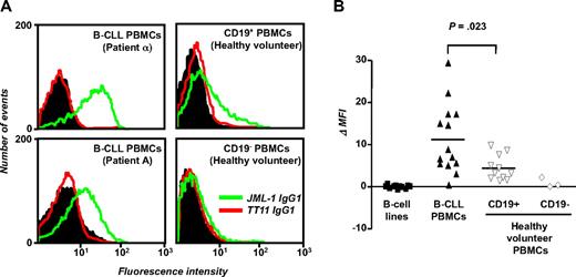 Figure 5. Selective binding of JML-1 IgG1 to primary B-CLL cells and B cells. (A) B-CLL PBMCs (5 × 105) were incubated with 1 μg/mL biotinylated JML-1 IgG1 or 1 μg/mL biotinylated TT11 IgG1 and subsequently stained with CD19-APC to allow gating of B cells. In a parallel experiment, MACS-separated CD19+ and CD19− subpopulations of PBMCs from a healthy volunteer were used. Shown are flow cytometry profiles of B-CLL PBMCs from patient α (used for library selection; top left), from patient A (the alloHSC transplant recipient from whom the library originated; bottom left), and CD19+ and CD19− subpopulations of PBMCs from a representative healthy volunteer (top right and bottom right, respectively). The histograms show the binding of biotinylated JML-1 IgG1 (green) and biotinylated isotype control TT11 IgG1 (red) detected by PE-coupled streptavidin. The background signal obtained for the detection reagent alone is shown in black. (B) PBMCs from 14 patients with B-CLL (including patient α and patient A), PBMCs subpopulations from 11 (CD19+) and 3 (CD19−) healthy volunteers, and 11 B-cell lines (including B-CLL cell lines EHEB and 232-B4) were analyzed for JML-1 IgG1 and TT11 IgG1 binding as described above. Each data point depicts the MFI of an individual sample minus the MFI obtained for the detection reagent alone. Horizontal lines indicate arithmetic mean values; P, probability based on the Mann-Whitney test.