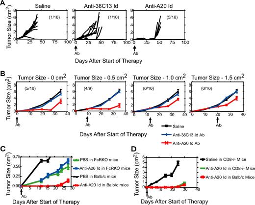 Figure 2. Anti-A20 Id mAb can inhibit A20 tumor cell growth in vivo. (A) Balb/c mice were inoculated with 107 A20 tumor cells subcutaneously and then treated intraperitoneally with saline, anti-A20 Id mAb, or an isotype control mAb (anti-38C13 Id) 3 hours later. Numbers in parentheses indicate animals cured by therapy. (B) Balb/c mice were inoculated with 107 A20 tumor cells. Mice were then treated with anti-A20 Id mAb either 3 hours after tumor inoculation (tumor size, 0 cm2) or when tumors reached 0.5, 1.0, or 1.5 cm2 (as indicated by the arrow). Numbers in parentheses indicate animals cured by therapy. Each line represents a group consisting of 10 mice. (C) FcRKO mice were inoculated with 106 A20 tumor cells. Mice were then treated with anti-A20 Id mAb 3 hours after tumor inoculation. Each line represents a group consisting of 10 mice. (D) CD8−/− mice were inoculated with 106 A20 tumor cells. Mice were then treated with anti-A20 Id mAb 3 hours after tumor inoculation. Each line represents a group consisting of 10 mice.