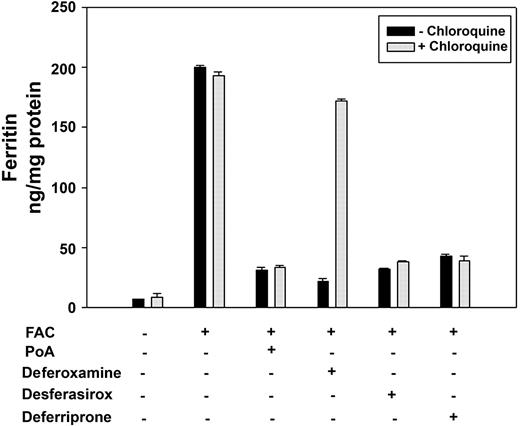 Figure 1. DFO-induced ferritin loss is prevented by chloroquine treatment. HEK293T-Fpn cells were incubated with FAC (10μM Fe) for 24 hours followed by incubation in the absence or presence of 10μM ponasterone A, 100μM DFO, desferasirox, or deferriprone. Chloroquine was added at the final concentration of 100μM. After 10 hours, cells were harvested. The ferritin content was determined by ELISA. Error bars represent SD from 3 different experiments.