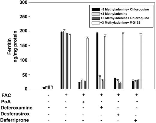 Figure 5. Inhibition of DFO-induced autophagy results in ferritin degradation in the proteasome. HEK293T-Fpn cells were incubated with FAC (10μM) for 24 hours followed by incubation in the presence or absence of 10μM ponasterone A (PoA) for 12 hours. Cells were incubated with or without 3-methyladenine for 8 hours in the presence or absence of 100μM chloroquine or 10μM MG132. FAC-loaded cells were also incubated with DFO, desferasirox, or deferriprone at the final concentration 100μM with or without 3-methyladenine for 8 hours in the presence or absence of 100μM chloroquine or 10μM MG132. Cells were harvested and ferritin content was determined by ELISA. Error bars represent SD from 4 different experiments.