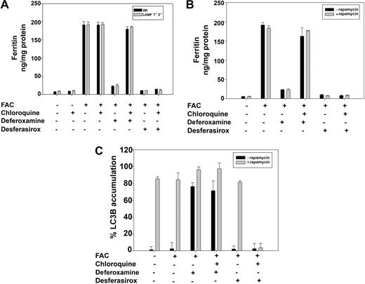 Figure 6. Ferritin degradation is mTOR and LAMP 1-2 independent. (A) Wt and LAMP1−/−2−/−cells were incubated with or without FAC (10μM) for 24 hours. Cells were then incubated with 100μM DFO or desferasirox in the presence or absence of 100μM chloroquine for 8 hours. Cells were harvested and ferritin content was determined by ELISA. Error bars represent SD from 3 different experiments. (B) HeLa cells treated as in panel A were incubated in the presence or absence of 100nM rapamycin for 12 hours. Cells were harvested and ferritin content was determined by ELISA. (C) Cells as in panel B were stained for LC3B and the percentage of LC3B-positive cells was determined. Error bars represent SD from 3 different experiments.