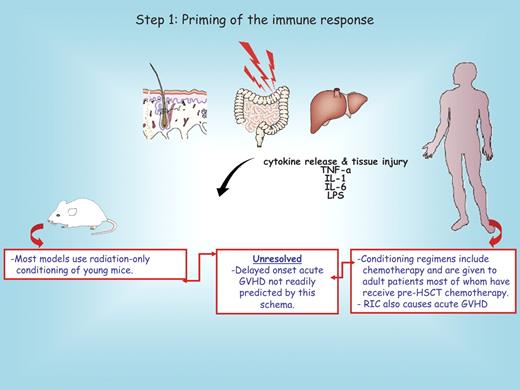 Figure 1. Step 1: priming of the immune response. Conditioning regimens used to prepare recipients for allogeneic hematopoietic stem cell transplantation (HSCT) cause graft-versus-host disease (GVHD) parenchymal organ injury and the release of proinflammatory cytokines that initiates allogeneic priming. The red boxes below the mouse and the human recipient serve to highlight distinct features between these species. A major unresolved issue not explained by this schema is shown in the middle red box. RIC denotes reduced-intensity conditioning.