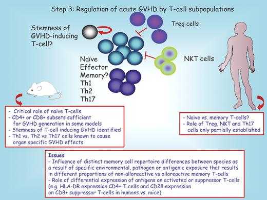 Figure 3. Step 3: regulation of acute GVHD by T-cell subpopulations. T-cell subsets that have been implicated in GVHD generation include naive and effector T cells, and Th1, Th2, and Th17 cells. More uncertain is the role of memory T cells. Inhibitory T-cell populations include CD4+CD25+ regulator T cells and natural killer T cells. In rodents, a T-cell population with stem cell properties has been implicated in acute GVHD generation. The red boxes below the mouse and the human recipient serve to highlight distinct features between these species. Question marks denote uncertain conclusions. Treg indicates T regulatory cell; and NKT, natural killer T cell.