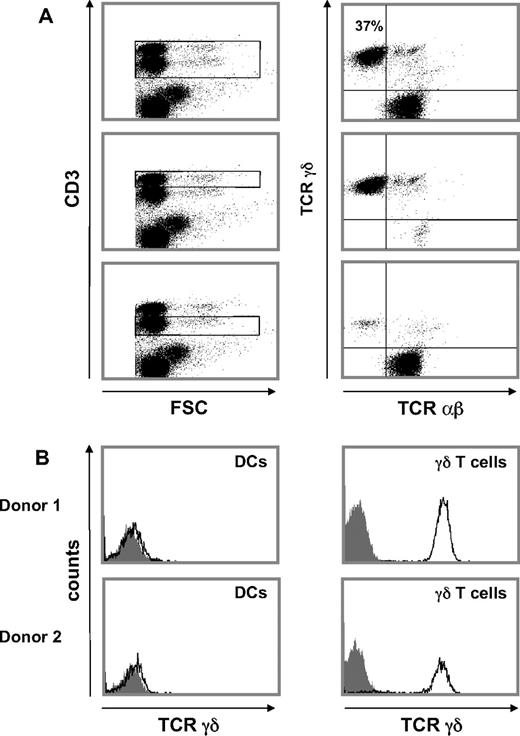 Figure 4. CD56+ cells from human blood are enriched in γδ T cells. (A) Freshly isolated CD56+ cells were stained for CD3 (SK7-PerCP-Cy5.5), αβ TCR (WT31-FITC), and γδ TCR (11F2-PE) and analyzed with a flow cytometer. Using plots of CD3 against FSC, CD3+ cells were gated (left) and then selectively analyzed for αβ TCR or γδ TCR expression (right). Selective gating of CD3bright or CD3low cells (left) identified γδ T cells and αβ T cells, respectively (right). (B) Side-by-side analysis of CD56+ DCs and CD56+ γδ T cells showed that only γδ T cells but not DCs expressed γδ TCR.