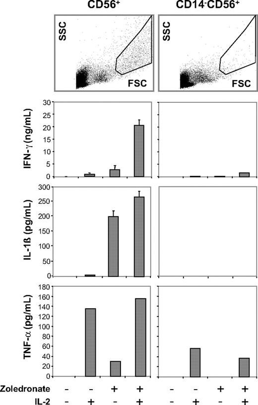 Figure 6. Zoledronate and IL-2 promote cellular responses in the CD56+ subset: abrogation of cytokine responses after depletion of CD14+ cells. CD56+ cells or CD56+ cells depleted of CD14+ cells were either left untreated or stimulated with IL-2, zoledronate, or zoledronate plus IL-2. IFN-γ, IL-1β, and TNF-α determined in culture supernatants on day 5 were present in replete cultures but strongly diminished in CD14-depleted cultures. FSC/SCC analysis of control cultures confirmed depletion of the DC population (top). Results shown are combined from 3 independent experiments. Error bars indicate the SD of mean from triplicate cultures.