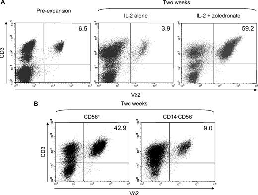 Figure 8. Zoledronate plus IL-2 efficiently expands γδ T cells in the CD56+ cell subset. CD56+ cells (1.5 × 106/mL) were stimulated with either IL-2 alone (100 U/mL) or with zoledronate (1 μM) plus IL-2. Fresh complete medium containing IL-2 was added every 3 days. After 14 days of expansion, cells were harvested, counted, and analyzed for Vδ2+ T-cell frequency by flow cytometry. (A) Plots of CD3 expression against Vδ2 expression show Vδ2+ T cells in freshly isolated CD56+ cells and show efficient expansion with zoledronate plus IL-2 but not with IL-2 alone. (B) Depletion of CD14+ cells before stimulation with zoledronate and IL-2 resulted in substantially diminished γδ T-cell expansion. Data are representative of 3 independent experiments with different donors. Numbers in the upper right quadrants indicate the frequency (in %) of Vδ2+ T cells.