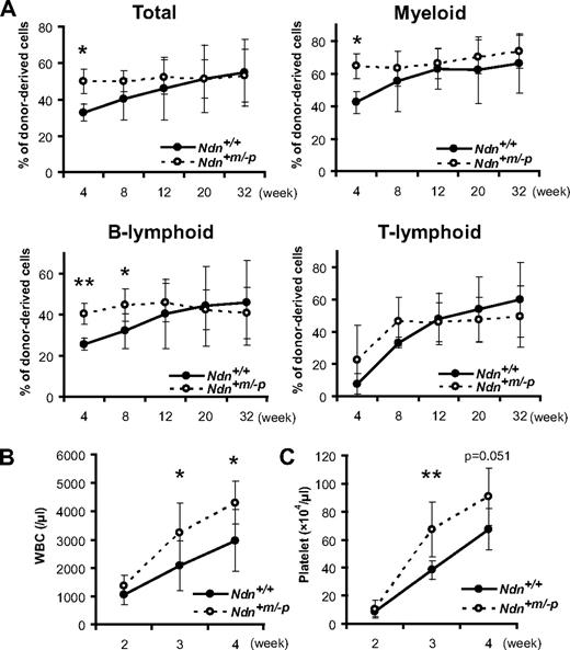 Figure 4. Accelerated short-term hematopoietic reconstitution by Ndn-deficient HSCs. (A) Short-term advantage in reconstitution capacity of Ndn+m/−p KSL cells in vivo. Irradiated recipient mice were transplanted with 1 × 103 KSL cells from Ndn+/+ or Ndn+m/−p mice plus 4 × 105 competitor cells in a competitive assay. Data shown are the mean percentage ± SD of donor-derived cells (total, myeloid, B-lymphoid, and T-lymphoid lineage) in the peripheral blood at the indicated times after transplantation (n = 7). *P < .05. **P < .01. (B-C) Enhanced hematologic regeneration capacity of Ndn+m/−p KSL cells. Irradiated recipient mice were transplanted with 500 KSL cells from Ndn+/+ or Ndn+m/−p mice in a noncompetitive assay. The count of (B) white blood cells (WBC) and (C) platelets in the peripheral blood of recipient mice was determined at the indicated times after transplantation. Data shown are mean number ± SD (*P < .05, **P < .01, Ndn+/+: n = 9, Ndn+m/−p: n = 10).