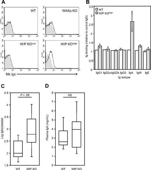 Figure 2. WIP KO mice evolve platelet-associated IgAs. (A) WT, WASp KO, and WIP KO platelets were incubated with Alexa Fluor 488–labeled donkey anti–mouse immunoglobulin antibody (open) or anti–rabbit immunoglobulin antibody (shaded) as negative control. (B) WT and WIP KO platelets were incubated with a nonimmune goat IgG or goat antibodies directed against mouse Ig classes as described, followed by Alexa Fluor 488–labeled donkey anti–goat IgG antibody. Results are ratio between mean fluorescence obtained with specific and unspecific antibodies and represent the mean ± SE of 4 to 6 mice per group. Box plot of platelet-associated (C) and plasma (D) IgA levels from WT and WIP KO littermates, as determined by isotype-specific ELISA. NS indicates not significant.
