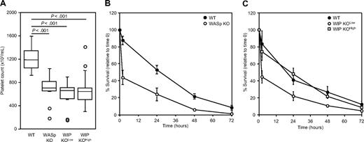 Figure 3. Platelet count and survival. (A) Box plot of platelet count in peripheral blood of WT, WASp KO, WIP KOlow, and WIP KOhigh mice. Circles represent outliers. (B) Platelets were isolated from WT and WASp KO mice, labeled with CMFDA, and injected into 129Sv WT recipients. (C) Platelets were isolated from WT, WIP KOlow, and WIP KOhigh mice, labeled with CMFDA, and injected into 129Sv WT recipients. Results are percentage of positive cells relative to time less than 5 minutes and represent the mean ± SD of 4 transfused mice.