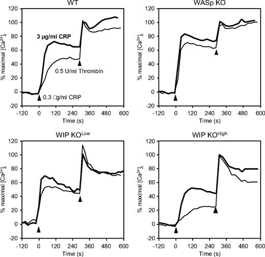 Figure 6. Calcium mobilization in CRP-stimulated platelets. Indo1-AM-loaded WT, WASp KO, WIP KOlow, and WIP KOhigh platelets were activated with 0.3 (normal) or 3 μg/mL CRP (bold) for 5 minutes followed by 0.5 U/mL thrombin for 5 minutes. Results are plotted as percentage of thrombin-induced calcium mobilization and are representative of 3 independent experiments.