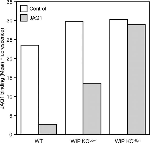 Figure 7. Limited GPVI shedding in WIP KO mice. WT, WIP KOlow, and WIP KOhigh mice were injected intraperitoneally (▩) or not (□) with 10 μg JAQ1, and platelets were analyzed by flow cytometry for GPVI expression after 48 hours. Results are plotted as mean fluorescence intensity and represent the mean of 2 independent mice.