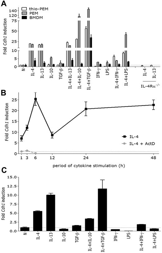Figure 1. In vitro modulation and kinetics of E-cadherin gene expression in mouse and human macrophages. (A) BALB/c thio-PEMs, PEMs, and bone marrow-derived macrophages were left untreated (N) or were treated for 24 hours with indicated stimuli. (B) BALB/c thio-PEMs, with or without 2 μg/mL actinomycin D pretreatment, were IL-4 steered for 1, 3, 6, 12, 24, or 48 hours. (C) Human monocyte-derived macrophages were left untreated (N) or were treated for 48 hours with indicated stimuli. The fold Cdh1 induction relative to the expression in untreated macrophages (= 1) is shown and is the mean ± SEM of 3 mice.