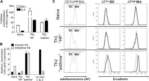 Figure 6. E-cadherin is induced in lung alternatively activated macrophages elicited during allergic asthma, but not hypersensitivity pneumonitis. Allergic asthma and hypersensitivity pneumonitis were induced in C57BL/6 mice. (A) IL-4 and IFN-γ concentrations were measured in the BALF. (B) Alveolar and interstitial lung macrophages were purified and Cdh1 expression in freshly isolated cells was determined. The fold induction of gene expression relative to the expression in naive alveolar macrophages (= 1) is shown. Naive alveolar macrophages were also cultured for 24 hours with or without IL-4 (in vitro + IL-4). The fold induction of Cdh1 gene expression in IL-4–treated relative to untreated alveolar macrophages (= 1) is shown. (C) BALs were stained with anti-CD11c and anti–E-cadherin or isotype control and analyzed via FACS. Within gated CD11chigh BAL, a distinction was made between AFlow DC and AFhigh alveolar macrophages and histogram overlays of isotype staining (dotted) and anti-E-cadherin staining (bold) are shown.