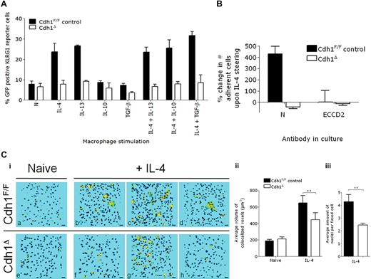 Figure 7. IL-4–stimulated macrophages engage in homotypic and heterotypic interactions through E-cadherin. (A) A5 KLRG1-reporter cells were cocultured overnight with differentially stimulated Cdh1F/F control or Cdh1Δ thio-PEMs, and the percentage GFP+ reporter cells was determined by FACS. Data are mean ± SEM of 3 individual mice. (B) CD103+ CSFE-labeled MTC-1 cells were cocultured with untreated or IL-4–treated Cdh1F/F control or Cdh1Δ thio-PEM monolayers, which were either pretreated or not with ECCD2 antibodies. After 45 minutes, nonadherent cells were washed away, and the number of remaining MTC-1 cells was determined by fluorescence measurement. Data were plotted as the percentage change in the number of MTC-1 cells adhering to IL-4–treated thio-PEMs compared with untreated thio-PEMs. Mean ± SEM of 6 wells is shown for one representative experiment. (Ci-iii) Equal numbers of DiI (red) and DiO (green) labeled Cdh1F/F control (a-d) or Cdh1Δ (e-h) thio-PEMs were cultured for 24 hours with (b-d,f-h) or without (a,e) IL-4 on Permanox plastic and imaged by confocal microscopy. Volocity analysis software was applied to create a red/green colocalization channel (Ci). The average volume of colocalized voxels per object (Cii) and the amount of nuclei per fused cell (Ciii) were calculated. Data are mean ± SEM of 5 fields. **P < .01.