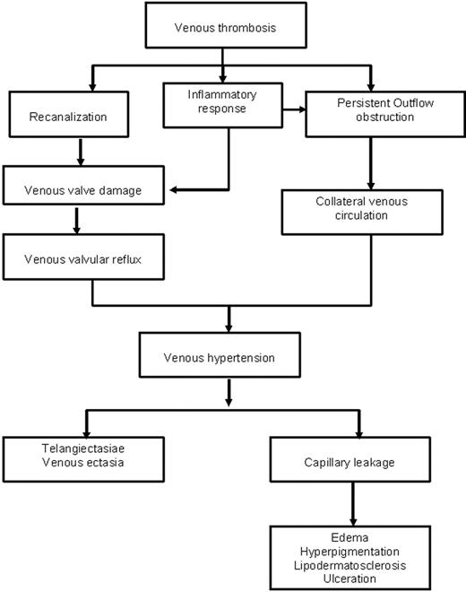 Figure 2. Postulated pathophysiology of PTS.