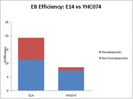 Fig. 1. Decreased efficiency of erythroid body formation in Rps19 mutant cell line. Primary differentiation was performed on Rps19- haploinsufficient and parental ES cell lines. Cultures were scored for total embryoid body (EB) number on day 6 and for hematopoietic percentage on day 13. The Rps19- haploinsufficient line (YHC074) showed a marked reduction in efficiency of EB formation compared with the parental line (E14). This difference was most pronounced in the hematopoietic EB population.