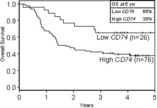 Figure 2. Overall survival