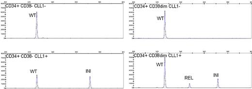 Figure. SEQ Figure \* ARABIC 1: FLT3/ITD analyis on cell sorted fractions from a diagnosis sample. Abbreviations; WT=wild type, INI=initial ITD, REL=relapse ITD