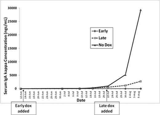 Figure 2. Serum ELISA for human IgA kappa light chain from mice IV transplanted with MM cells containing a doxycycline inducible c-FLIP shRNA vector (+/− doxycycline).