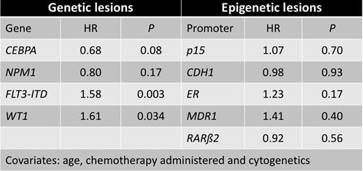 Impact on survival of different genetic and epigenetic lesions. HR, Hazard ratio.