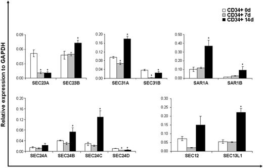 Figure 1. Gene expression profile during CD34+ erythroid differentiation. Data are presented as mean ± standard deviation. *p value < 0.05 calculated on day 0 by Student t test corrected by Bonferroni method.
