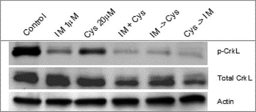 Figure 2. Effect of imatinib and cysmethynil on p-CrkL in Bafp210.