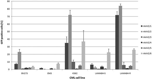 Figure 1:. Gene transfer efficiency of pseudotyped rAAV vectors on human CML cell lines. A multiplicity of infection of 100 was used (n=3).