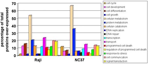 Figure 1:. Cellular Processes Associated with Over-Expressed Proteins in Raji vs NC37