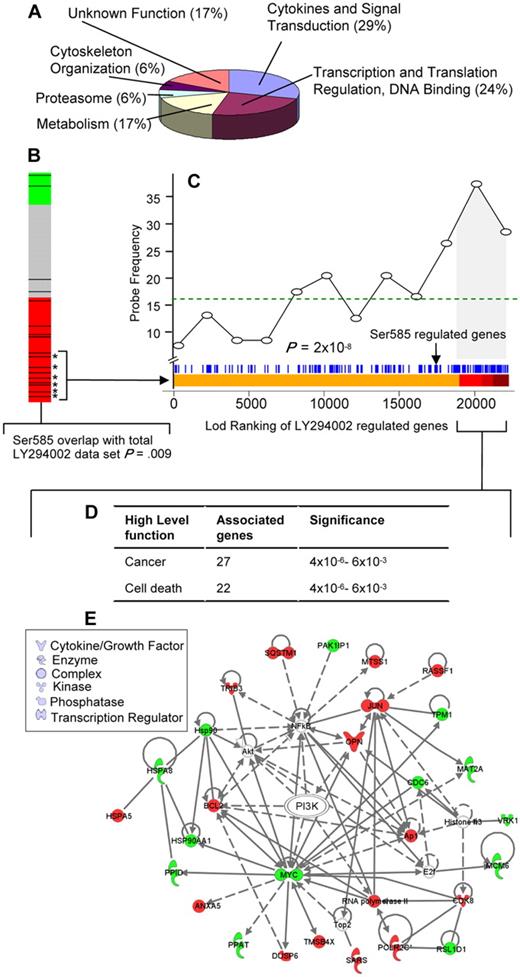 Figure 3. Identification of a Ser585/PI3-kinase transcriptional network. (A) Gene ontology (GO) (www.geneontology.org/) classifications are shown for the 138 Ser585-regulated genes identified by microarray screening. (B) Connectivity mapping19 of the 138 Ser585-regulated genes indicated negative connectivity with the expression change induced by the PI3-kinase inhibitor, LY294002. A negative connectivity (red) represents genes that are either induced by Ser585 and repressed by LY294002 or repressed by Ser585 and induced by LY294002. All 453 experiments in the Connectivity Map database were ranked by their connectivity score with the 138 Ser585-regulated genes identified in our studies. Each of the LY294002 comparisons (n = 17) is highlighted as a black bar on the heat map, and colors represent a negative (red), no connection (gray), or positive connection (green) between the 138 Ser585-regulated genes identified in our studies and individual LY294002-induced gene expression changes for each array in the Connectivity Map database. A cluster of LY294002 experiments (13 of 17) lie within the red region, indicating a statistically significant enrichment of our 138 Ser585-regulated genes and the LY294002 differentially expressed genes (P = .009). (C) Analysis of the overlap between the 138 Ser585-regulated gene set identified in our studies and the LY294002-sensitive genes in the Connectivity database. We pooled the data from the 6 top-ranked MCF7 cell LY294002 microarrays that showed significant overlap with our 138 gene set (bracketed asterisks) and performed a Wilcoxon rank sum test to compare a ranked list of LY294002 sensitive genes (Lod-ranking of LY294002-regulated genes) with our 138 gene set. Each blue line corresponds to an individual probe identified from our screen. Ser585-regulated genes (blue lines) cluster with top-ranked LY294002-sensitive genes (red region). Plotting this overlap shows a significant enrichment above a random distribution (dotted line) in Ser585-regulated genes (probe frequency) as the Lod-ranking of LY294002-regulated genes increases (P < .001). Of the 138 genes identified in our screen, 53 (38%) correspond to LY294002-sensitive genes encompassed by the gray portion of the graph (LY294002 cutoff; P = .01). (D) The 53 Ser585/PI3-kinase–regulated genes identified in panel C together with their fold change were uploaded into the IPA and overlaid onto a global molecular network developed from information contained in the Ingenuity Pathways Knowledge Base. Networks of genes were then algorithmically generated based on their connectivity to known functional, biochemical, and disease interactions. A significant overlap with genes involved in cancer and cell death was observed (P < .001, right-tailed Fisher exact test). (E) The 53 Ser585/PI3-kinase–regulated genes identified in panel C were subjected to IPA mapping of network interactions. This analysis showed that 27 of 53 genes constitute a gene network with red denoting Ser585-induced genes and green denoting Ser585-repressed genes. Node shape denotes the indicated gene function or biologic process.