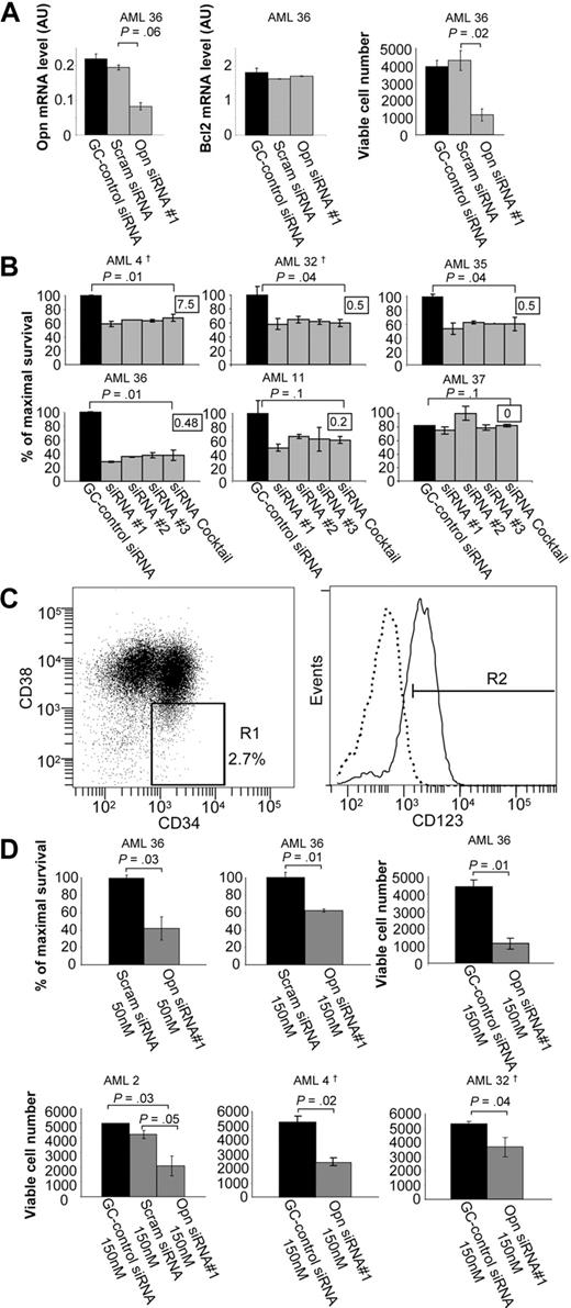 Figure 6. siRNA-mediated knockdown of OPN expression reduces cell survival in AML blasts and LSPCs. Purified CD34+ cells from the indicated AML patient samples were transfected with 50nM BLOCK-iT fluorescent oligo and 50 to 150nM of (1) RNAi High GC negative control duplexes; (2) scrambled siRNA duplexes; (3) OPN siRNAs duplexes no. 1, no. 2, or no. 3; or (4) a cocktail consisting of all 3 OPN siRNAs duplexes (A-B,D). After transfection, cells were cultured for 2 to 3 days in IMDM medium containing 0.5% FCS, after which time total RNA was isolated for quantitative RT-PCR (A) and viable cell number was assessed by using Flow-Count Fluorospheres (A,D). (B) Cell survival was determined by annexin V–Alexa 568 staining and flow cytometry. The survival of purified CD34+ cells isolated from patients with AML in culture varied from 15% to 90%, and results are presented as the percentage of cell survival relative to the control siRNA-transfected cells. The inset indicates the level of OPN mRNA expression for each AML sample as determined in Figures 4 and 7. (C) AML CD34+/CD38−/CD123+ LSPCs were purified by fluorescence-activated cell sorting (FACS). Cells were stained with CD34-FITC, CD38-PE-Cy7, and CD123-PE antibodies after which time LSPCs were sorted with FACSAria cell sorter into CD34+CD38− subpopulation (1%-2% of total live cells) and gated for high CD123 expression (0.5%-1% of total). Approximately 5 × 105 to 1 × 106 cells were obtained from a single sort of 2 × 108 thawed cells. The purity of sorted populations was confirmed by secondary flow cytometry. (D) LSPCs were transfected and analyzed for cell survival as described in panel A. †Samples were derived from relapsed patients.