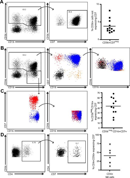 Figure 2. CD7 identifies 2 distinct populations of CD56+ cells. (A) CD3/14/19neg cells were gated for CD56 expression and CD56+ cells were plotted against CD7 to determine the percentage of CD7+ cells within the CD56 gate. In peripheral blood, as many as 10% of CD56+ CD3/14/19neg cells are CD7neg. (B) Classically defined NK cells (CD3negCD56+CD16+/neg) were gated and plotted against CD7 versus CD16 to identify 4 populations of cells. Each population was then overlaid back to a CD56 versus CD16 plot to observe where the CD7neg non–NK-cell subsets were distributed among the CD7+ NK cells. (C) Similarly, CD56dim/negCD16+ cells were gated and plotted against CD7 versus CD16. Although approximately 43% of the CD56dim/negCD16+ population was CD7+ NK cells, there was extensive overlap with the CD7neg cell fraction. (D) CD4+CD56+ cells were assessed for CD7 expression. On average, less than 50% of CD4+CD56+ cells coexpress CD7 (n = 6).