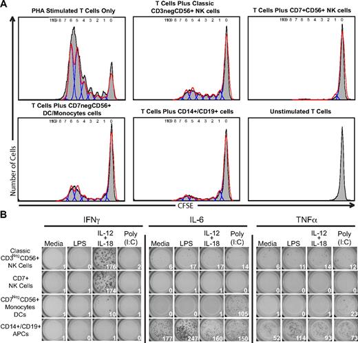 Figure 5. CD7+ NK cells do not induce allogeneic T-cell proliferation in a mixed leukocyte reaction. PBMCs were purified by flow cytometry into 4 populations: classical NK cells (CD3negCD56+), CD7+CD56+ NK cells, CD7negCD56+ DCs/monocytes, and CD14+ and CD19+ antigen-presenting cells. (A) Flow cytometry–purified cells were γ-irradiated and incubated in a 1:1 ratio with CFSE-labeled allogeneic T cells. After incubating for 7 days, cells were analyzed for dilution of CFSE as a marker of proliferation. PHA-stimulated T cells were used as a positive control. One representative donor (n = 3) is shown. Similar results were also obtained when the reaction was performed in the presence or absence of 250 IU/mL of IL-2. (B) Flow cytometry–purified cells (1000 per well) were added to wells containing media alone, lipopolysaccharide (LPS), IL-12 + IL-18, or poly(I:C) for 18 hours. One representative experiment of 3 is shown.