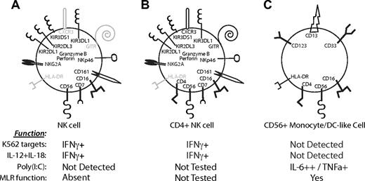 Figure 6. Significant differences in receptor expression between CD56+ immune cell subsets. Model depicting the distribution of receptors on (A) CD4neg NK cells, (B) CD4+ NK cells, and (C) CD56+ monocyte/DC-like cells. Conclusions are based on results in Figures 3 and 5. Receptors expressed on the majority of cells of that subset are represented in black. No expression or < 15% of cells expressing a receptor is indicated in gray. Receptor expression in panel C is representative of a heterogeneous population of monocytes and DC-like subsets. For example, CD16 is not expressed on CD123+ cells, but is expressed on many of the CD13+ cells. The expression of cytokines after stimulation with K562 target cells, IL-12 + IL-18, and poly(I:C) for the particular cell subset is indicated below. Only CD7+ NK cells produced IFNγ after stimulation with NK cell–specific stimuli, whereas a strong IL-6 and TNFα response was observed in the CD7negCD56+ cells after poly(I:C) stimulation. The ability of CD7+ NK cells and CD7negCD56+ DCs/monocytes to induce proliferation in a mixed leukocyte reaction (MLR function) is also indicated; only CD7negCD56+ cells are inducers of proliferation in accordance with their phenotype as DCs/monocytes.