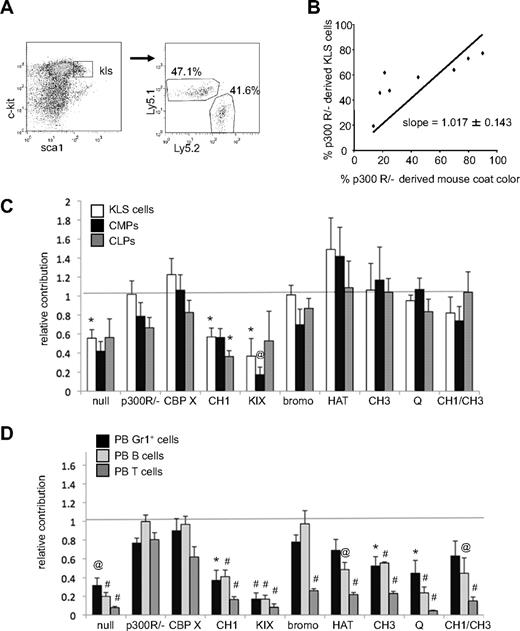 Figure 2. Contribution of p300-reconstituted cells to hematopoietic cell populations in chimeric mice. (A) Typical flow cytometry gating of lineage− cells for c-Kit and Sca1 expression identifies c-Kit+, Lineage−, Sca1+ (KLS) compartment. Gating of KLS cells determines the percentage that is Ly5.1+ (wt blastocyst-derived) versus Ly5.2+ (mutant p300 ESC-derived). (B) The contribution of p300-reconstituted (p300 R/−) ESC-derived cells to mouse coat color is compared with their contribution to the KLS compartment. Each dot represents 1 mouse. Simple linear regression with a zero y-intercept creates a best-fit line of the data (slope = 1.017 ± 0.143 SE). (C) Relative contribution of Ly5.2+ cells to KLS, CMP, and CLP compartments. Bars indicate the slope of each best fit line graph ± SE as depicted in panel B. (D) Relative contribution of Ly5.2+ cells to PB Gr1+ cells, B220+ (B cells), and Ly1+ (T cells) populations. Bars indicate the slope of each best fit line graph ± SE. Dashed line at 1 represents the expected level of hematopoietic contribution if no deficiencies exist (ie, when hematopoietic contribution is equivalent to coat color contribution). Unpaired t tests were used to compare hematopoietic contribution for each genotype with that of wt p300R/−. Samples that differed significantly from p300R/− populations are indicated with *P < .05; @P < .01, #P < .001. Number of mice used in each analysis is shown in supplemental Table 3.