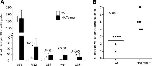 Figure 5. Serial replating assay shows that HATptmut KLS cells have greater proliferative potential than wt KLS cells. (A) The number of colonies produced by serially replating wt and HATptmut KLS cells directly in methylcellulose after 1 to 5 weeks in culture. Bars represent the average number of colonies on duplicate dishes for sorted KLS cells from 6 wt mice and 5 HATptmut chimeric mice. (B) The number of weeks that cultures generated colonies (≥ 1 colony per 1000 cells plated) is shown. Dots represent data from individual mice and the horizontal lines represent the average for each set of mice. P values were calculated using the Student t test.