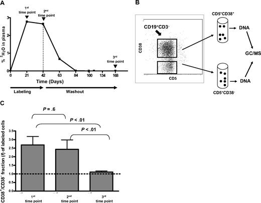 Figure 1. Procedure for determining 2H enrichments in CD38+ and CD38− CLL cells and time point selection in relation to 2H availability in body water. (A) Deuterium enrichment measured in plasma of body water compartment of a representative case (CLL 875). CLL cells were flow-sorted at the 3 time points indicated by arrows. Vertical dashed line indicates time when 2H2O intake was ended. (B) After gating CD19+CD3− cells, CD5+ cells were flow-sorted based on their expression of CD38. 2H in genomic DNA was then measured by GC/MS. (C) The ratio of CD38+/CD38− fractions (f) of labeled cells (Table 2) was averaged. Bars represent SEs of the 3 time points studied. Significant differences in 2H incorporation between the CD38− and CD38+ B-CLL subpopulations were achieved early and maintained during labeling period, whereas they disappeared during washout.