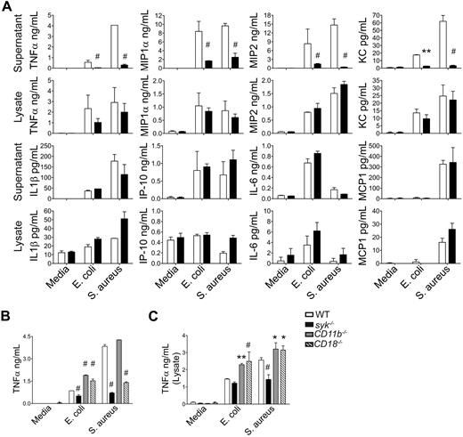 Figure 2. Syk-deficient neutrophils have altered cytokine profiles after stimulation with bacteria. (A) WT (white bars) or syk−/− (black bars) neutrophils were stimulated with rag1−/− serum-opsonized S aureus or E coli (MOI = 5) for 16 hours. Culture supernatants or cell pellets lysed in low detergent lysis buffer were analyzed for TNF-α, MIP1α, MIP2, KC, IL-1β, IP-10, or MCP1 by multiplex bead array (Milliplex). Data are the mean of 2 independent experiments, each with an N = 2 or N = 3. (B) WT, syk−/−, CD11b−/−, or CD18−/− neutrophils were stimulated with rag1−/− serum-opsonized S aureus or E coli (MOI = 2) for 16 hours and assessed for (B) TNF-α secretion into the supernatant or (C) TNF-α synthesis and storage in cell lysates by plate-based ELISA, and represent at least 3 independent experiments. Data are presented as mean ± SD. *P < .05, **P < .01, # P < .001 compared with WT by 2-way ANOVA with Bonferroni posttests.