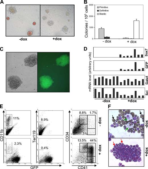 Figure 4. Sox7-enforced expression blocks hematopoietic differentiation. (A) Pictures of colonies from day 5 iSox7 EB cells noninduced (−dox) or induced (+dox) with doxycycline at 1 μg/mL in semisolid clonogenic replating assay for hematopoietic progenitors 5 days after replating (×4 magnification). (B) Colony counts from day 5 iSox7 EB cells replated with or without doxycycline (+dox, −dox) in clonogenic assay for hematopoietic progenitors. (C) Representative pictures of blastic colonies obtained in clonogenic replating assay with doxycycline (×40 magnification). (D) Individual colonies grown without or with doxycycline tested for the expression of the indicated genes by real-time PCR. (E) Flow cytometric analysis for the indicated cell surface markers of pooled colonies grown for 5 days in semisolid clonogenic replating for hematopoietic progenitors without or with doxycycline. (F) May-Grünwald Giemsa and O-dianidisine staining of cells derived from sorted hematopoietic precursors grown for 6 days in liquid cultures with or without doxycycline (black arrows indicate primitive erythrocytes; green arrows, macrophages; and red arrows, blast cells). All data are representative of at least 3 independent experiments.