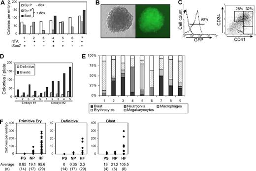 Figure 7. Gastrulating embryos contain Sox7-responsive hematopoietic precursors. (A) Cells from E7.5 embryos were tested in clonogenic replating assay for hematopoietic progenitors with or without doxycycline (+dox, −dox). For each embryo, 1/10 of the cells was used for genotyping and the remaining divided equally in −dox and +dox replating conditions. Genotype for rtTA and iSox7 transgenes is shown below the graph. (B) Picture of a blastic colony from replating with doxycycline (×20 magnification). (C) Flow cytometric analysis of pooled colonies grown for 6 days in secondary replating with doxycycline. (D) 5 individual iSox7+ colonies from primary replating of 2 different embryos were replated in secondary clonogenic assay with doxycycline. (E) After May-Grünwald Giemsa staining, erythrocyte and myeloid cells were scored from individual iSox7+ colonies grown for 5 days in liquid hematopoietic conditions without doxycycline. A total of 100 cells were counted per colony. (F) Cells from individual embryos were tested in clonogenic replating assay for hematopoietic progenitors with or without doxycycline. For each embryo, 1/10 of the cells was used for genotyping and the remaining equally divided in −dox and +dox replating conditions. HF indicates headfold. The average numbers for each colony type are presented below the graphs; (n) represents the number of embryo analyzed at each stage of development. For blastic colonies, only embryos positive for rtTA and isox7 transgenes are depicted. All data are representative of at least 3 independent experiments.
