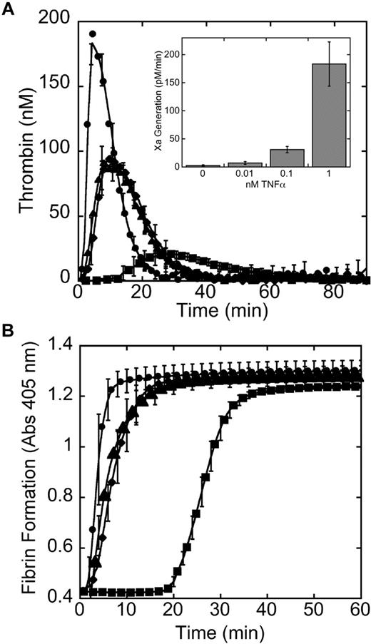 Figure 1. Extravascular and intravascular cells support different levels of thrombin generation and fibrin formation. Recalcified (10mM, final) normal, pooled PFP was added to confluent cell monolayers. (A) Thrombin generation was measured using calibrated automated thrombography; data (± SD) shown are averaged from at least 5 separate experiments. (A inset) HUVECs were incubated with TNFα (0-1nM) for 4 hours at 37°C. Factor Xa generation (± SD) was measured by incubating cells with factors VIIa and X in the presence of CaCl2, and measuring factor Xa generation by chromogenic substrate in 2 separate experiments. (B) Fibrin polymerization was measured by turbidity at 405 nm; data (± SD) shown are from 1 experiment, representative of at least 7 independent experiments. Symbols for panels A and B are as follows: fibroblasts, (●); SMCs, (♦); HUVECs, (■); and HUVECs stimulated with TNFα for 4 hours, (▴).