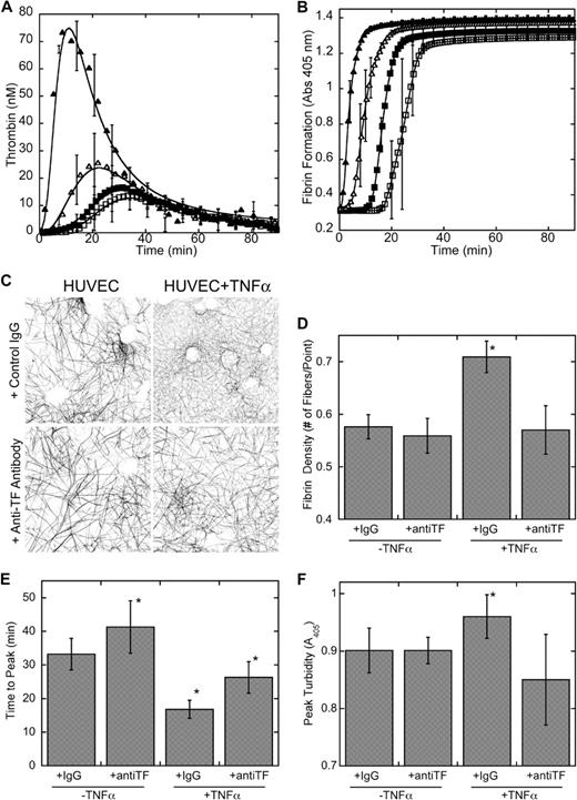 Figure 7. TF inhibition prolongs the onset and reduces the rate of thrombin generation and clot formation, resulting in a less dense fibrin network. Recalcified (10mM, final) normal pooled PFP was added to confluent HUVECs and TNFα-treated HUVEC monolayers in the presence of anti-TF antibody (10 μg/mL anti–human TF antibody) or IgG control. (A) Thrombin generation was measured by calibrated automated thrombography. Data (± SD) show the average of 5 separate experiments. (B) Fibrin polymerization was monitored by turbidity at 405 nm. Data (± SD) shown are from 1 experiment, representative of 4 separate experiments. Symbols for panels A and B are HUVECs plus: IgG, (■); anti-TF, (□); TNFα+IgG, (▴); TNFα+anti-TF, (▵). (C) Three-dimensional projections (146 μm × 146 μm, xy) show clot architecture in 10-μm stacks 0 to 10 μm from the surface of unstimulated or TNFα-stimulated HUVECs in the presence or absence of anti-TF, as indicated. Each image is from 1 experiment, representative of 4 independent experiments. (D) Fibrin density (± SD) was measured as described in “Methods.” (E-F) Clotting was initiated in the presence of tPA (250 ng/mL) and the time to peak and peak turbidity were calculated from resulting turbidity curves. Data (± SD) show the average of 9 independent experiments. *P < .05 versus unstimulated HUVECs.