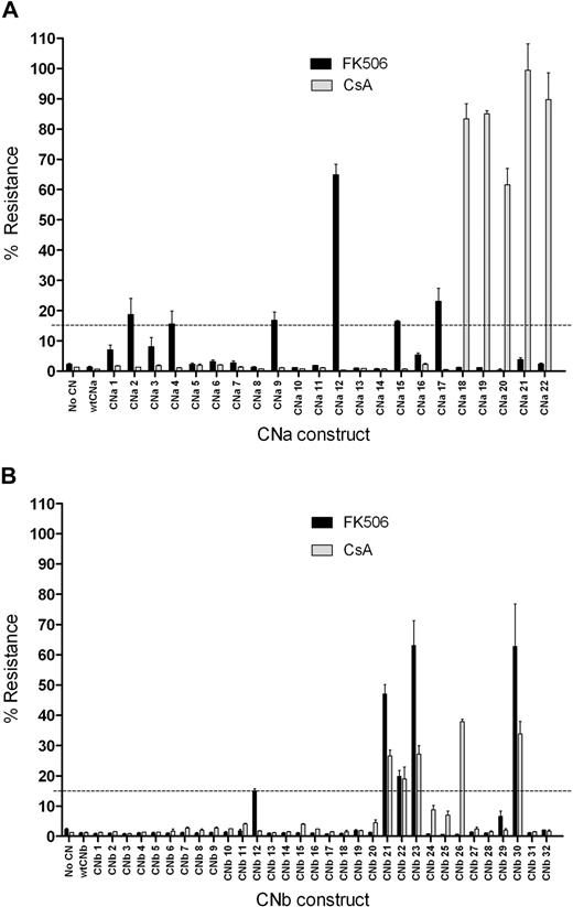 Figure 2. Transfection of 293T cells with CN mutants allows luciferase expression in the presence of CN inhibitors. 293T cells were transfected with a CN mutant, a Firefly luciferase reporter gene driven by an NFAT response element, and an internal control Renilla luciferase plasmid. Cells were activated with PMA and ionomycin, and the expression of luciferase was assessed. Resistance was determined by comparing luciferase expression upon stimulation in the presence of CN inhibitors to luciferase expression upon stimulation in the absence of CN inhibitors. Mean and SEM of 3 experiments shown. (A) Screening of CNa mutants identifies 6 that confer resistance to 10 ng/mL FK506 (CNa2, 4, 9, 12, 15, and 17) and 5 that confer resistance to 200 ng/mL CsA (CNa18-CNa22). (B) Screening of CNb mutants identifies 5 that confer resistance to 10 ng/mL FK506 (CNb12, 21, 22, 23, and 30) and 5 that confer resistance to 200 ng/mL CsA (CNb21, 22, 23, 26, and 30). Of the CNb mutants identified, 4 confer resistance to both FK506 and CsA (21, 22, 23, and 30).