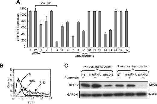 Figure 1. Identification of a siRNA vector that stably knocks down FKBP12. (A) GFP MFI of 293T cells transfected with eGFP-hFKBP12 (+) or cotransfected with eGFP-hFKBP12 and each of the 17 predicted siRNA sequences targeting the human FKBP12 mRNA or an irrelevant siRNA (irr-siRNA). siRNA4 resulted in > 85% reduction of the GFP MFI. (B) GFP was expressed by 60% of 293T cells transfected with the reporter plasmid eGFP-hFKBP12 alone, by 71% of 293T cells cotransfected with the irr-siRNA plasmid, and by 7% of 293T cells cotransfected with siRNA4 plasmid. (C) The expression of the FKBP12 in nontransduced (NT), irr-siRNA+, and siRNA4+ EBV-CTLs assessed by WB 1 week after transduction and after selection with puromycin for 3 weeks. FKBP12 expression is visibly reduced in siRNA4+ EBV-CTLs after transduction. This effect is more evident after selection in the presence of puromycin. The bottom gel shows the membrane reprobed with anti-GAPDH antibody.