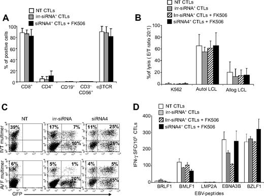 Figure 4. siRNA4+ EBV-CTLs retain their immunophenotype, cytotoxic activity, and EBV-antigen specificity. (A) The immunophenotype of NT and irr-siRNA+ EBV-CTLs and of siRNA4+ EBV-CTLs cultured in the presence of FK506. Means ± SD are shown for the 6 CTL lines. No significant phenotypic differences were observed for siRNA4+ CTLs expanded in the presence of FK506. (B) The results of a standard 51Cr release assay of NT and irr-siRNA+ EBV-CTLs and of irr-siRNA+ and siRNA4+ EBV-CTLs cultured in the presence of FK506. Targets were K562, autologous LCLs, and allogeneic LCLs. Shown is the CTL/tumor cell ratio of 20:1. Bars represent the mean ± SD of the EBV-CTLs generated from 6 donors. No significant differences in cytotoxic activity were observed for siRNA4+ CTLs versus NT or irr-siRNA+ CTLs. (C) The frequencies of multimers recognizing latent EBV-associated antigens (EBNA3B-AVF and EBNA3B-IVT) in NT (left plots) and irr-siRNA+ (middle plots) EBV-CTLs and in siRNA4+ (right plots) EBV-CTLs cultured in the presence of FK506 for 3 weeks in 1 representative donor. (D) The frequency of CTLs responding to the indicated EBV-specific peptides assessed by IFNγ ELIspot assay in another representative donor.