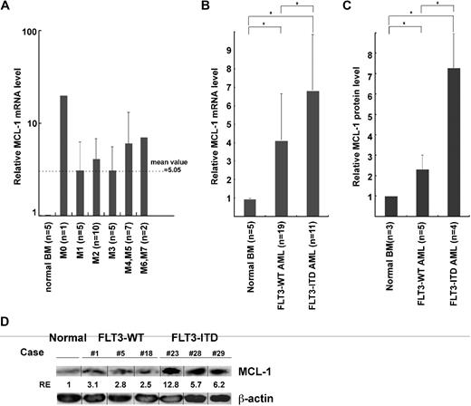 Figure 2. The expression of MCL-1 in FLT3-ITD and FLT3-WT AML cells. The levels of Mcl-1 transcripts and proteins in AML bone marrow cells. (A) AML cells express ∼ 5-fold higher levels of MCL-1 compared with normal BM cells irrespective of their FAB types by real-time PCR assays. (B) FLT3-ITD AML cells expressed ∼ 2-fold higher levels of MCL-1 in average compared with those in FLT3-WT AML cells. (C) The level of MCL-1 protein on Western blot analysis in primary AML cells. Results are shown as mean ± SD (*P < .05). (D) Representative Western blot data of MCL-1 in FLT3-WT AML (cases 1, 5, and 8) and FLT3-ITD AML (cases 23, 28, and 29) samples. Vertical lines have been inserted to indicate a repositioned gel lane.