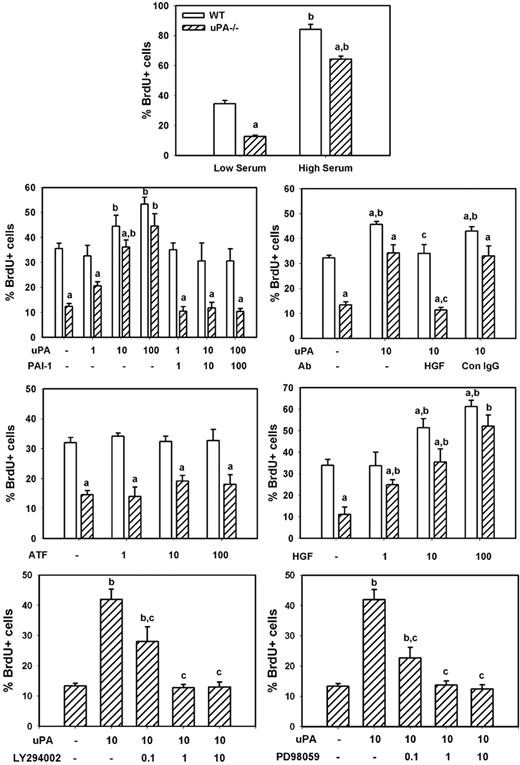 Figure 8. uPA and myoblast proliferation in vitro. Myoblasts were isolated from neonatal WT and uPA−/− mice and cultured for proliferation experiments as described in “Myoblast cultures.” Cells were incubated in low serum medium without other factors overnight, and then incubated in experimental medium with designated factors added along with 100μM BrdU for 24 hours for assessment of cell proliferation. The number of BrdU+ cells was counted in 4 fields observed at 20× and normalized to the total number of cells present in each field. Bars represent mean ± SE; n = 6 to 12 per condition. aMean value for uPA−/− cells significantly smaller than that for WT cells (P < .05). bMean value for specific experimental condition significantly larger than that for control condition (low serum or no factors added; P < .05). cMean value for specific experimental condition significantly smaller than that for uPA treated condition (P < .05).