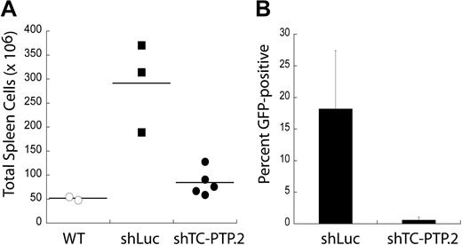 Figure 3. TC-PTP expression is required for tumor maintenance in vivo. (A) TC-PTP knockdown tumors are not maintained in vivo. DBL-114 cells were transduced with either a control shRNA (shLuc) or an shRNA specific to TC-PTP (shTC-PTP.2). Transduced cells were then sorted to > 95% GFP+ (infected), and 105 of these cells were adoptively transferred into cohorts of age- and sex-matched C57BL6 mice. These mice were allowed to develop externally palpable tumors, at which point they were killed and their tumors examined for cell numbers and GFP fluorescence. Tumorous spleens were harvested, and single-cell suspensions were generated and then enumerated. Wild-type spleen counts are shown for comparison. (B). Tumors that do develop in mice injected with TC-PTP knockdown tumor cells are GFP−. Tumors were harvested from mice injected with either shLuc or shTC-PTP.2 tumor cells and subjected to FACS analysis to determine the frequency of GFP+ cells.