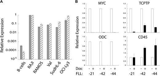 Figure 4. TC-PTP expression correlates to MYC overexpression. (A) TC-PTP and MYC overexpression in human BL cell lines. Quantitative PCR analysis of MYC () and TC-PTP () expression relative to GAPDH expression. Shown are wild-type B cells, RAJI and RAMOS BL cell lines, Val and SudHL-6 GC-like DLBCL cell lines, and OCI-Ly3 ABC-like DLBCL cell line. Error bars represent SD for 2 replicates; n = 3 or more. (B). TC-PTP expression is reduced after loss of MYC overexpression. FLL cell lines, derived from MMTV-rtTA/TRE-MYC/BCRHEL/sHEL mice, have a doxycycline-repressible MYC promoter. Three different FLL cell lines (-21, -42, and -44) were treated with doxycycline to turn off MYC overexpression, after which mRNA was harvested and cDNA produced. Quantitative PCR analysis was performed relative to GAPDH for the following genes: MYC (top left panel), ODC (bottom left panel), TC-PTP (top right panel), and CD45 (bottom right panel) expression relative to GAPDH and normalized to untreated cells. Error bars show SD for 2 replicates; n = 4 for MYC and GAPDH, and n = 2 for ODC and CD45.
