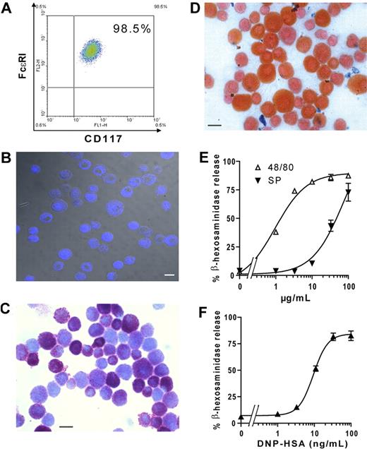 Figure 1. Phenotypic and functional characterization of PCMCs. (A) CD117 and FcϵRI expression on PCMC surface. The number in the top right indicates the percentage of double-positive cells. (B) Mast cell tryptase staining by indirect immunofluorescence with an Alexa 633–conjugated secondary Ab (blue). Samples were inspected with a confocal laser-scanning microscope. (C-D) Histochemical staining of PCMCs with toluidine blue (C) or Alcian blue followed by safranin (D). Bars = 10 μm. (E) Secretagogue-induced β-hexosaminidase release. PCMCs were stimulated with increasing concentrations of Substance P or compound 48/80 for 30 minutes at 37°C. (F) FcϵRI-dependent β-hexosaminidase release. PCMCs were sensitized with mouse IgE anti-DNP and challenged with DNP-HSA. The percentage of β-hexosaminidase released was plotted against the concentration of the stimulus. Tests for phenotypic and functional analysis of PCMCs were routinely performed after 3 to 5 weeks of culture. Data are from 1 representative experiment of 3.